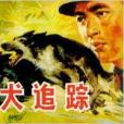 軍犬追蹤 軍犬追蹤
