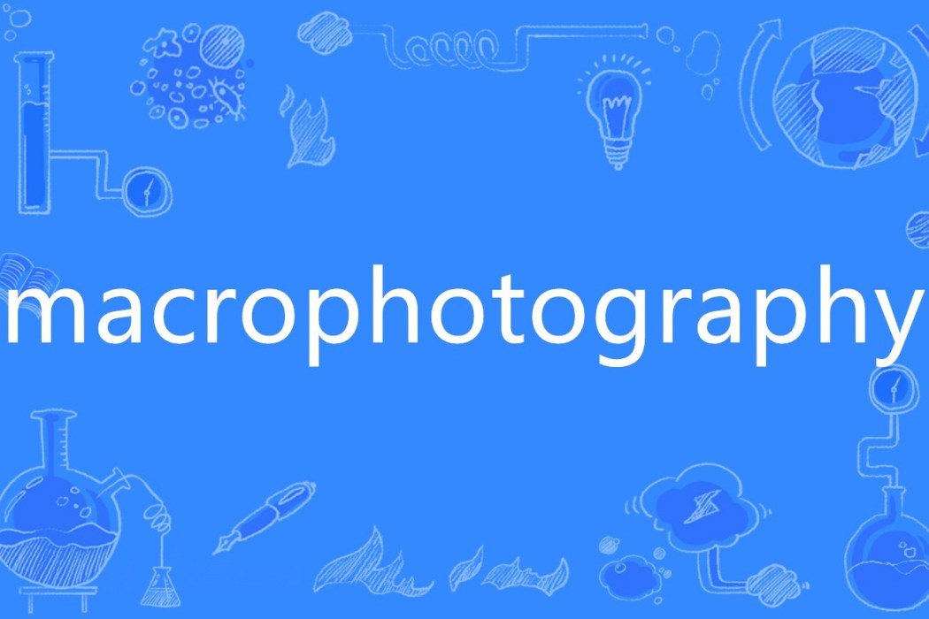 macrophotography macrophotography