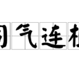 同氣連根 同氣連根