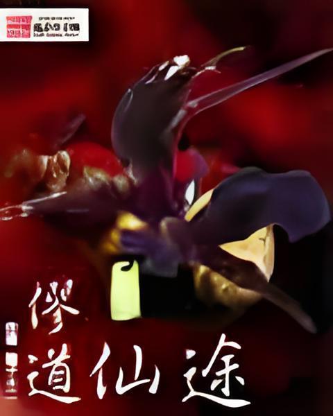 戮道仙途 戮道仙途
