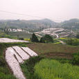 珠溪 珠溪