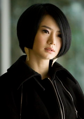 無懈可擊之美女如雲(美女如雲（2009年蔣家駿執導電視劇）)