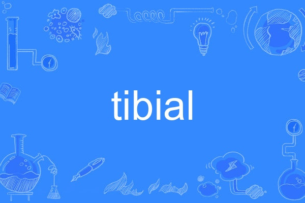 tibial tibial