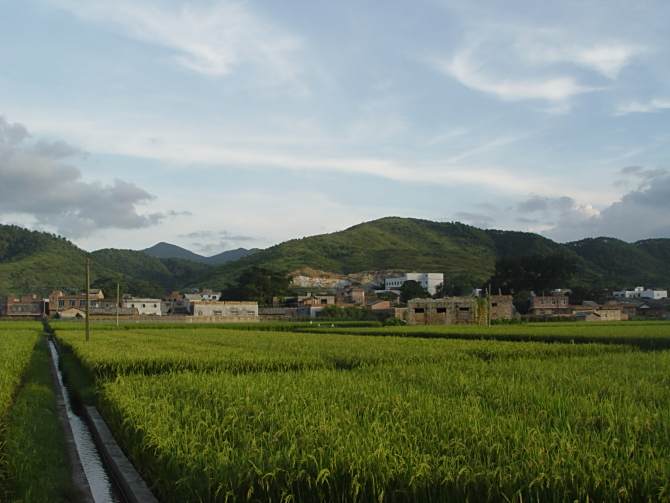 社頭坡村 社頭坡村