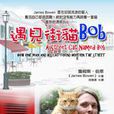遇見街貓Bob 遇見街貓Bob