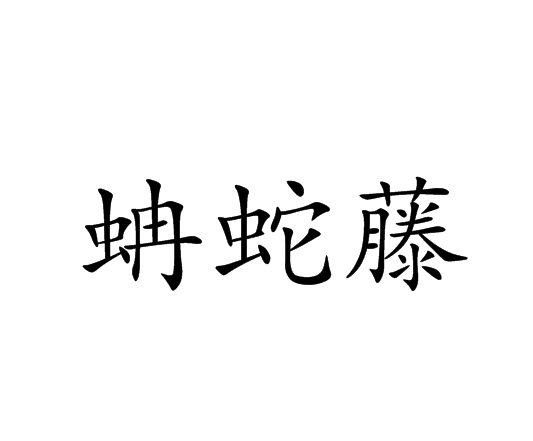 蚺蛇藤 蚺蛇藤