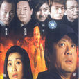 生死十七天(2004年24集電視連續劇)