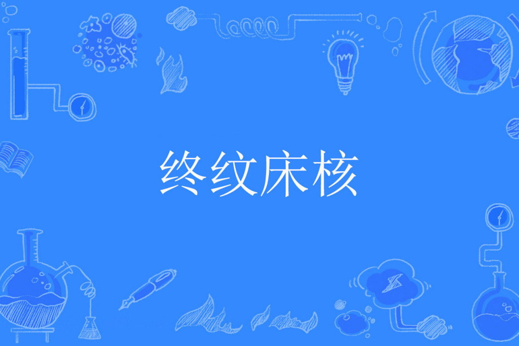 終紋床核 終紋床核