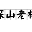 深山老林
