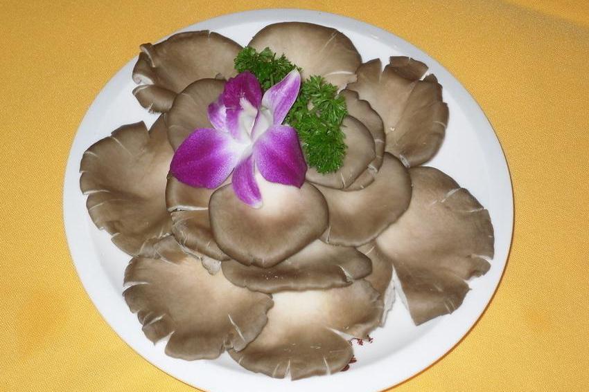 麻仁平菇 麻仁平菇