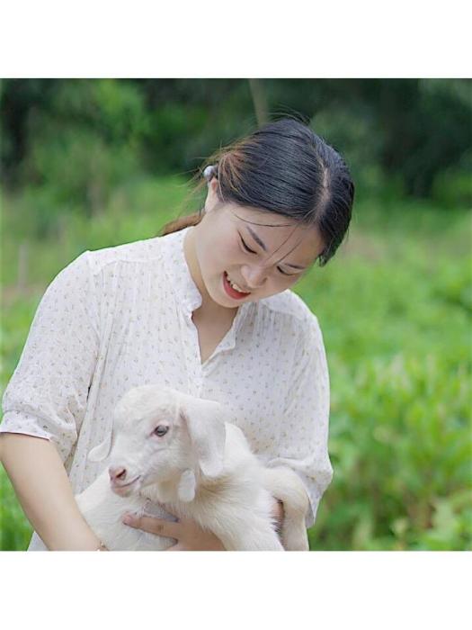 楊佩佩(中國三農領域自媒體創作者) 楊佩佩(中國三農領域自媒體創作者)