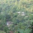上箐腳村(雲南省紅河州勐拉鄉上箐腳村) 上箐腳村(雲南省紅河州勐拉鄉上箐腳村)