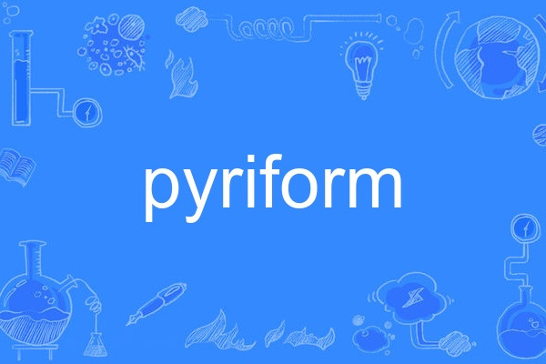 pyriform pyriform