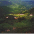上坪村(廣東省清遠市陽山縣鎮江英鎮上坪村) 上坪村(廣東省清遠市陽山縣鎮江英鎮上坪村)