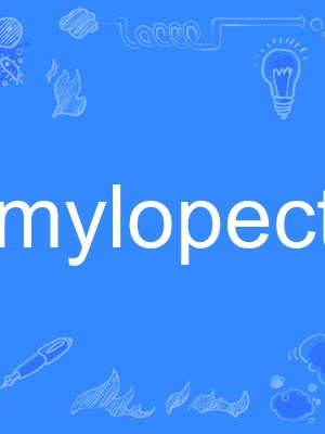amylopectin amylopectin
