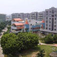 桃源村二期 桃源村二期