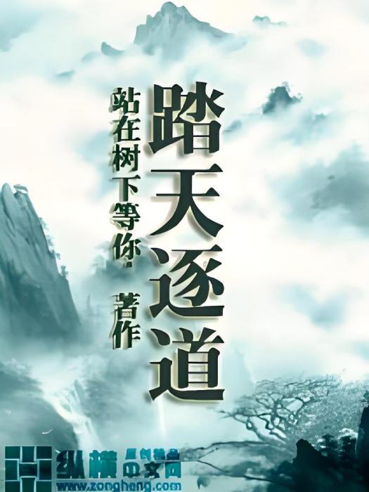 踏天逐道 踏天逐道
