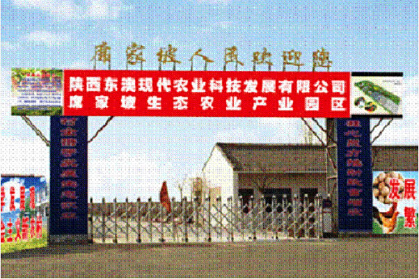 席家坡村 席家坡村