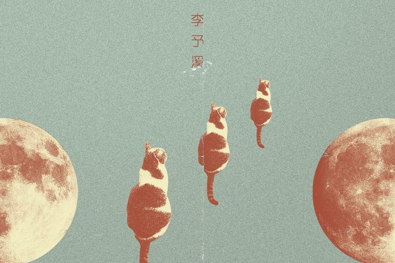 月光與貓 月光與貓