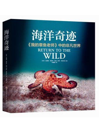 海洋奇蹟 海洋奇蹟