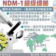 NDM-1