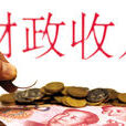 收入政策 收入政策