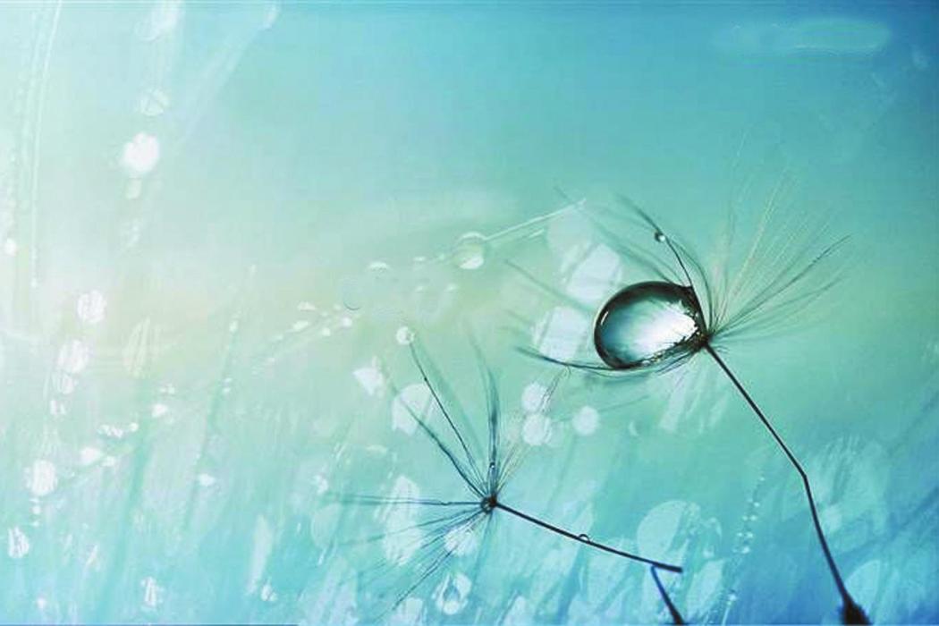 雨的鋒芒 雨的鋒芒