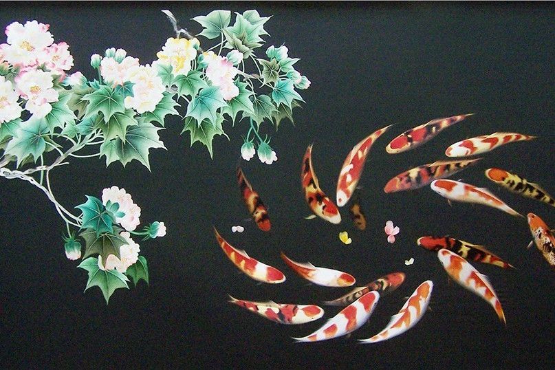 芙蓉鯉魚 芙蓉鯉魚