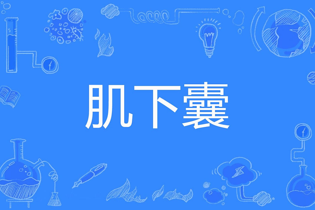 肌下囊 肌下囊