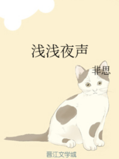 淺淺夜聲 淺淺夜聲