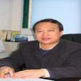 林鹿(廈門大學能源研究院副院長) 林鹿(廈門大學能源研究院副院長)