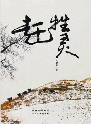 汪諾喬