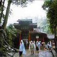 洪椿小雨 洪椿小雨