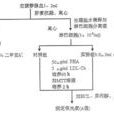 MTT法
