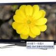 東芝52X3300C 東芝52X3300C