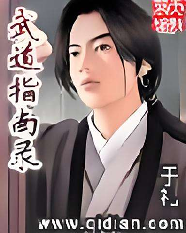 武道指南錄 武道指南錄