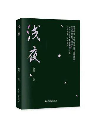 淺夜(2023年北京日報出版社出版的圖書) 淺夜(2023年北京日報出版社出版的圖書)