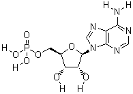 61-19-8分子結構圖