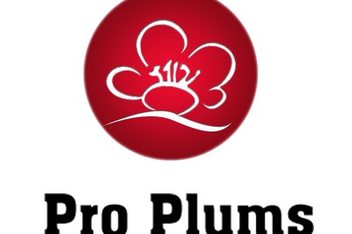 PRO PLUMS PRO PLUMS