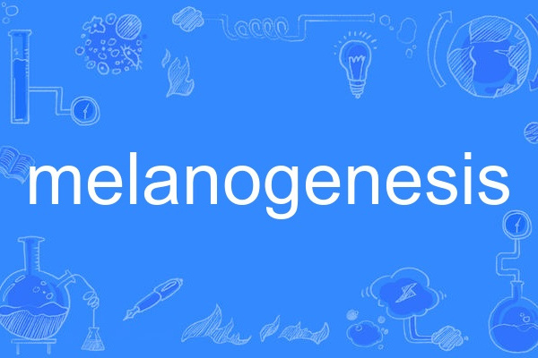melanogenesis melanogenesis