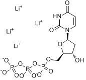 2ˊ-脫氧尿苷-5ˊ-三磷酸四鋰鹽