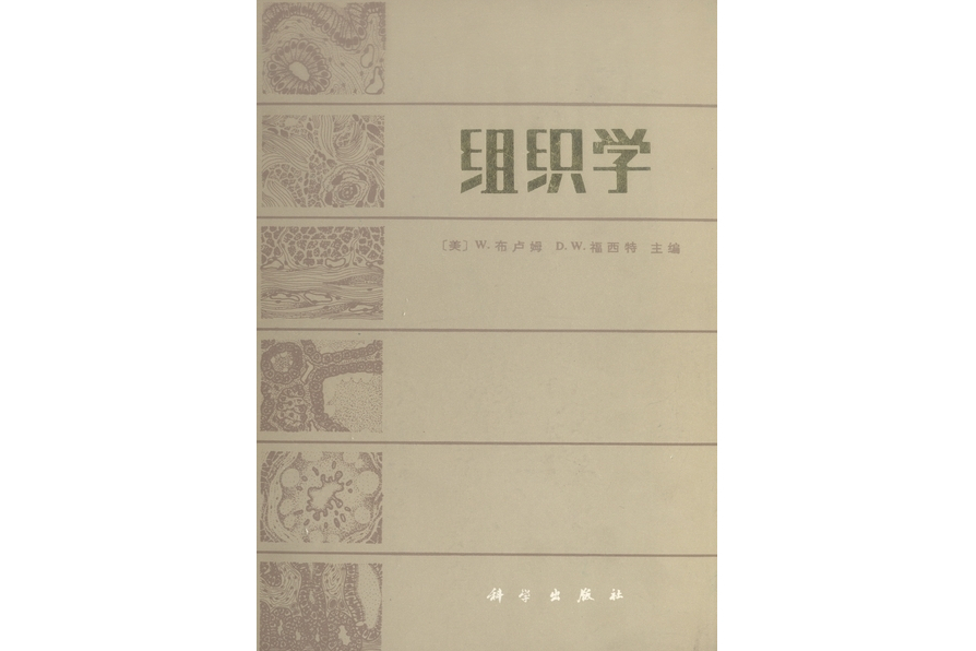 組織學(1984年科學出版社出版的圖書) 組織學(1984年科學出版社出版的圖書)