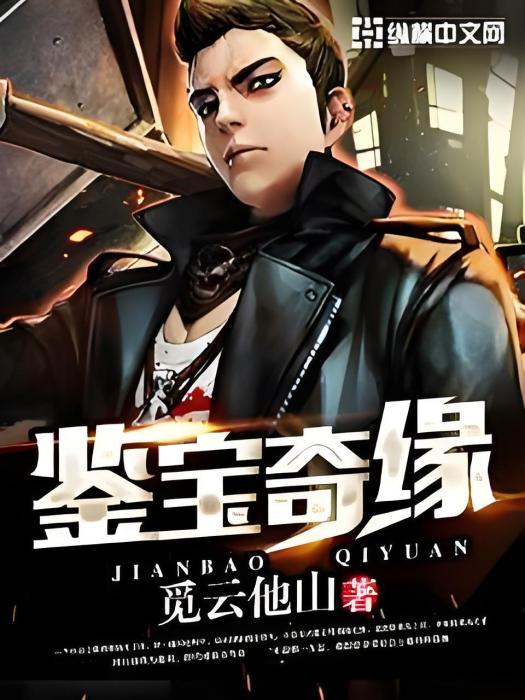 鑒寶奇緣 鑒寶奇緣