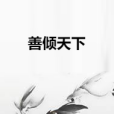 善傾天下 善傾天下