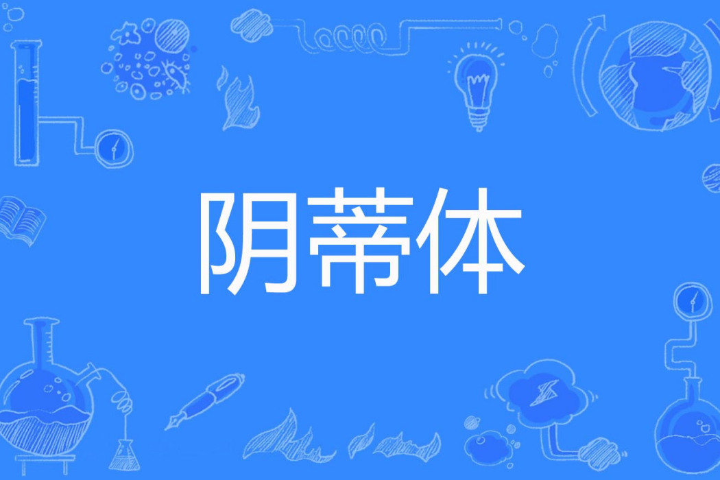 陰蒂體 陰蒂體