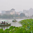 蓮花池公園(北京蓮花池公園) 蓮花池公園(北京蓮花池公園)