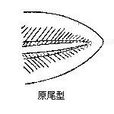 原尾 原尾