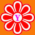 Y(英文字母)
