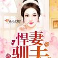 悍妻馴夫 悍妻馴夫