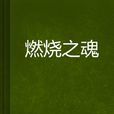 燃燒之魂 燃燒之魂